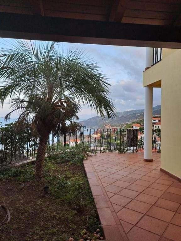 リベイラ・ブラーヴァSea View Houseアパートメント エクステリア 写真